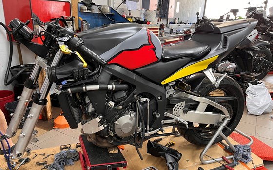 Umgebautes Motorrad Honda CBR600RR von Motorradsport Gerhard Wacker - Bild 3