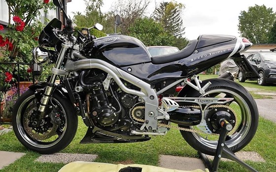 Umgebautes Motorrad Triumph Speed Triple 955i von scubacharly - Bild 1