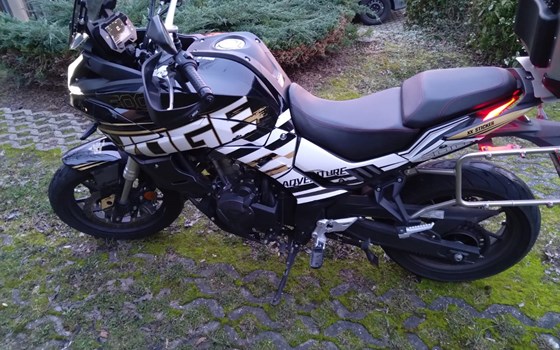 Umgebautes Motorrad Voge 500DS von 2Rad-Knoblauch - Bild 3