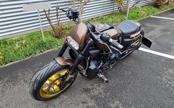Umgebautes Motorrad Harley-Davidson Sportster S RH1250S von X-Trem Custombikes - Bild 18 Umgebautes Motorrad Harley-Davidson Sportster S RH1250S von X-Trem Custombikes - Bild 18