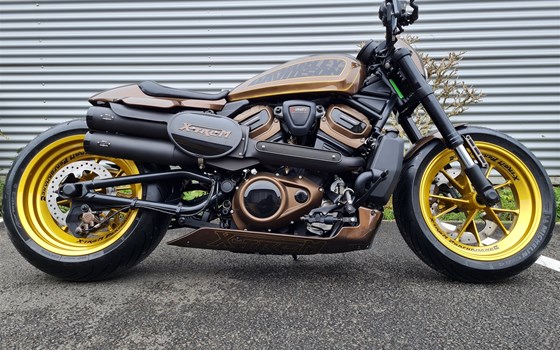 Umgebautes Motorrad Harley-Davidson Sportster S RH1250S von X-Trem Custombikes - Bild 6 Umgebautes Motorrad Harley-Davidson Sportster S RH1250S von X-Trem Custombikes - Bild 6