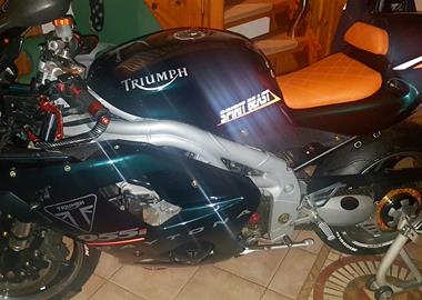 Gebrauchte Triumph Daytona 955i Gebrauchte Triumph Daytona 955i