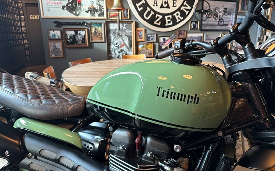 Umgebautes Motorrad Triumph Scrambler 1200 XC von Erne's Euromotos AG - Bild 6 Umgebautes Motorrad Triumph Scrambler 1200 XC von Erne's Euromotos AG - Bild 6