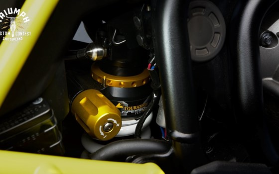 Umgebautes Motorrad Triumph Tiger 900 Rally Pro von Moto Center Schwyz AG - Bild 5 Umgebautes Motorrad Triumph Tiger 900 Rally Pro von Moto Center Schwyz AG - Bild 5