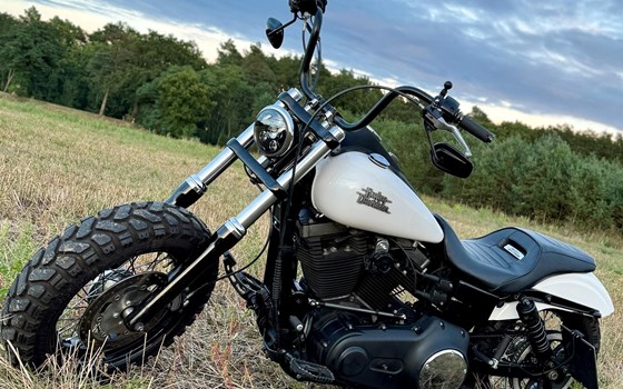 Umgebautes Motorrad Harley-Davidson Dyna Street Bob FXDB von Max1999 - Bild 6 Umgebautes Motorrad Harley-Davidson Dyna Street Bob FXDB von Max1999 - Bild 6