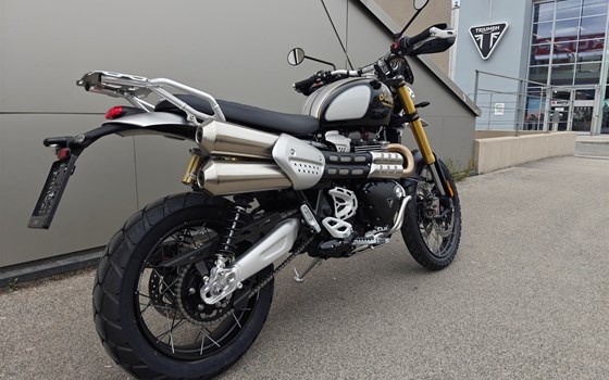 Umgebautes Motorrad Triumph Scrambler 1200 XE von IL MOTO  Motorradhandel und Reparaturwerkstätte GesmbH - Bild 4 Umgebautes Motorrad Triumph Scrambler 1200 XE von IL MOTO  Motorradhandel und Reparaturwerkstätte GesmbH - Bild 4