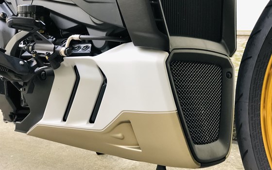 Umgebautes Motorrad Ducati XDiavel von MOTO WARMUTH GMBH - Bild 12