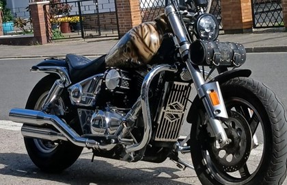 Suzuki VZ 800 Marauder Custom Bike