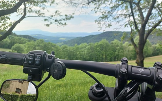 Umgebautes Motorrad Harley-Davidson Softail Fat Bob 114 FXFBS von Seidi - Bild 10