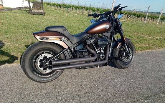 Umgebautes Motorrad Harley-Davidson Softail Fat Bob 114 FXFBS von Seidi - Bild 2