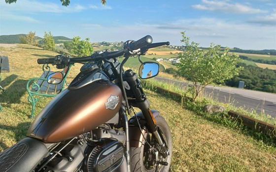 Umgebautes Motorrad Harley-Davidson Softail Fat Bob 114 FXFBS von Seidi - Bild 4