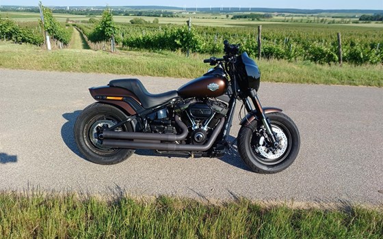 Umgebautes Motorrad Harley-Davidson Softail Fat Bob 114 FXFBS von Seidi - Bild 6