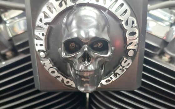 Umgebautes Motorrad Harley-Davidson Softail Fat Bob 114 FXFBS von Seidi - Bild 9