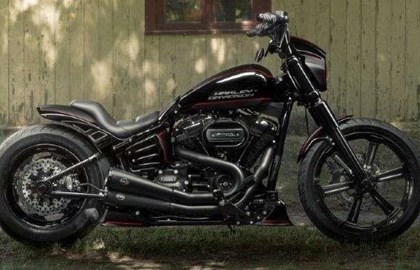 Harley-Davidson Softail Standard FXST Custom Bike