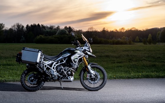 Umgebautes Motorrad Triumph Tiger 900 Rally Pro von Mäge Motos GmbH - Bild 5