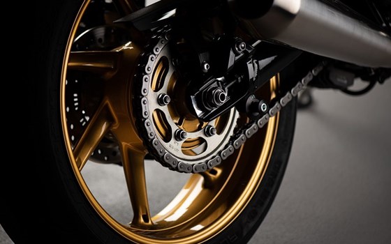 Umgebautes Motorrad Triumph Speed Twin 1200 von Mäge Motos GmbH - Bild 3