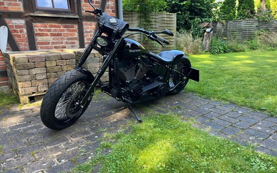 Umgebautes Motorrad Harley-Davidson Softail Night Train FXSTB von user1593923 - Bild 3