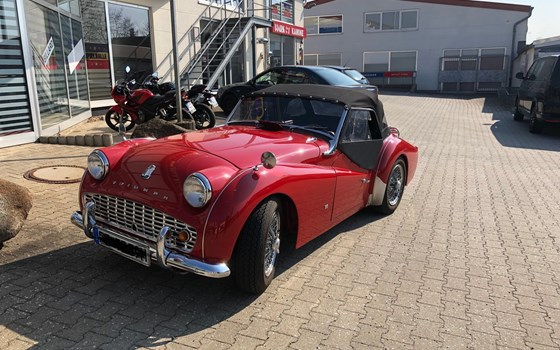 Saisonstart bei Triumph Chemnitz - Bild 10