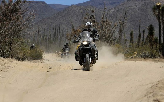 BAJANORA – Desert Adventure Raid - Bild 1