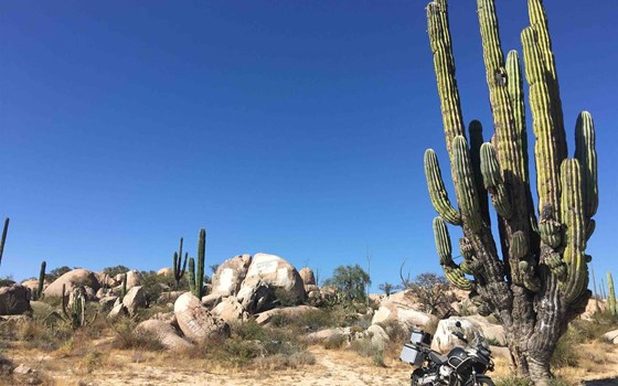 BAJANORA – Desert Adventure Raid - Bild 3