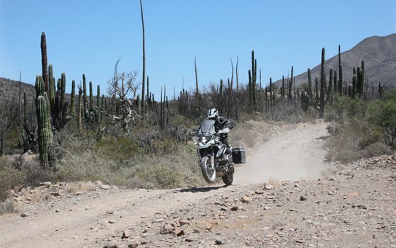 BAJANORA – Desert Adventure Raid - Bild 5