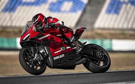 Servus in der Schweiz - Bild 3