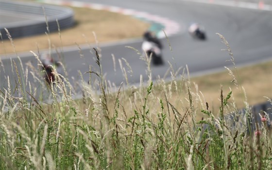 Zünd in den Mai - Bild 1 Zünd in den Mai - Bild 1