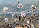 Winterflucht Andalusien