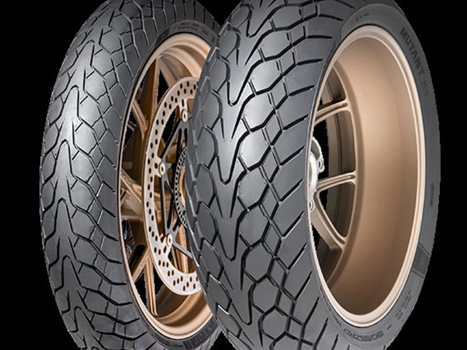 DUNLOP Reifen & Tour  Bild 2: DUNLOP Reifen & Tour