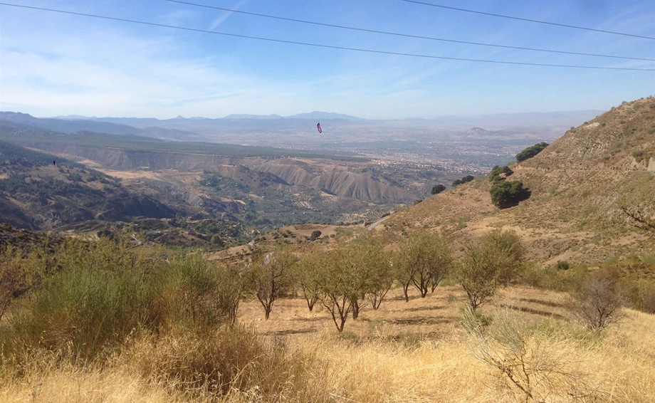 Andalusen Reise Bild 8: Andalusen Reise