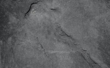 Ortslauf in Bad Erlach Ortslauf in Bad Erlach