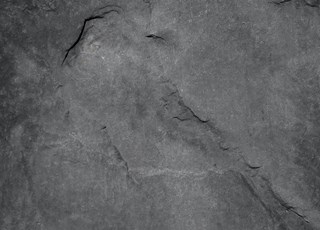 EVENTS Ortslauf in Bad Erlach