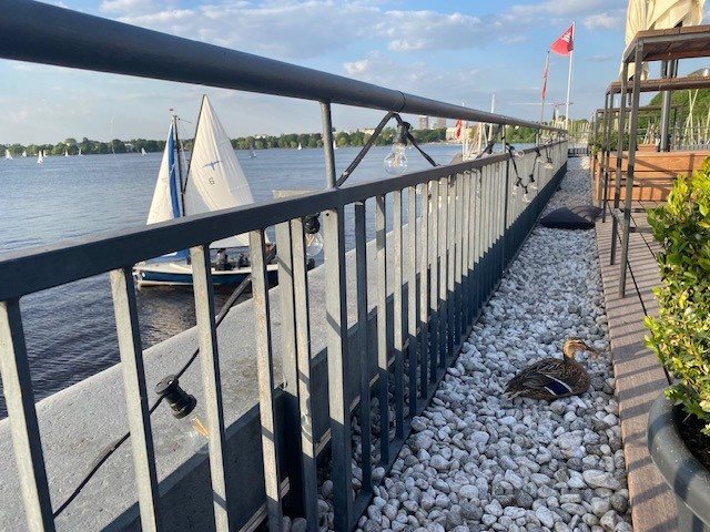 Sundowner Tour Alster