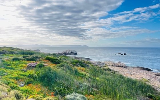 Geführte Tour in Südafrika - ab Schweiz - Bild 4