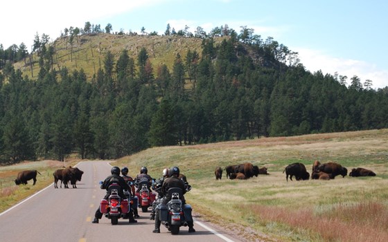 Circuit guidé dans les Rocheuses - Image 10