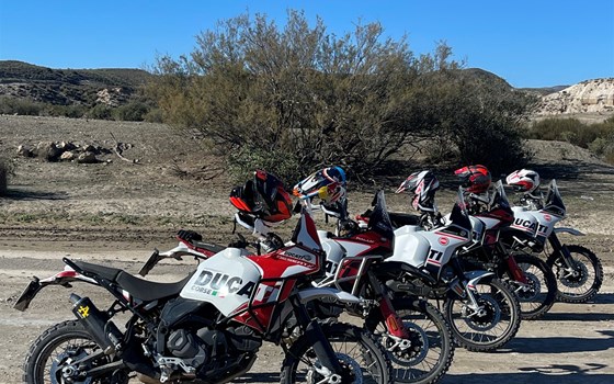 Almeria 2026 - Bild 17 Almeria 2026 - Bild 17