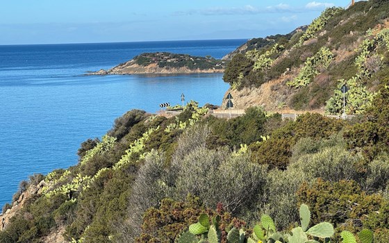 Sardegna - Festa della Curva - ALL INCLUSIVE - Bild 9