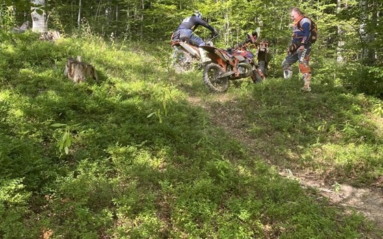 PEPA-BIKES ENDUROTOUR - Bild 2