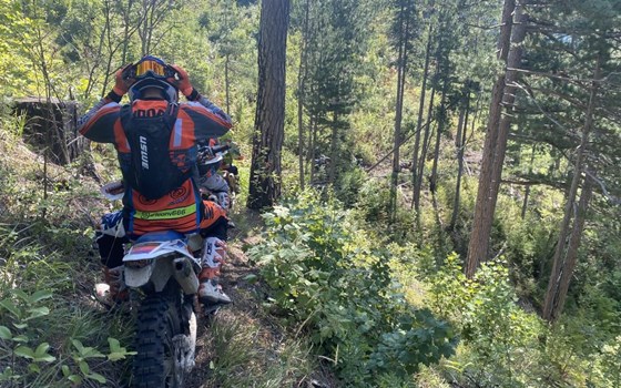 PEPA-BIKES ENDUROTOUR - Bild 4