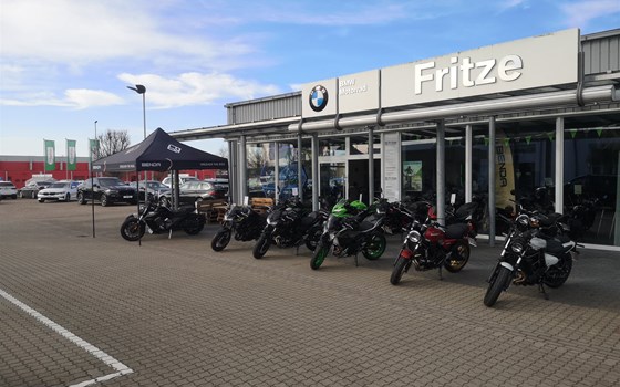 Drachenfest - Bild 8