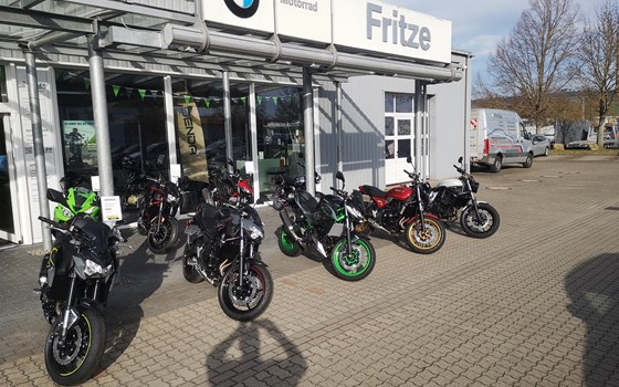 Drachenfest - Bild 4