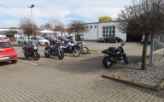 Drachenfest - Bild 13