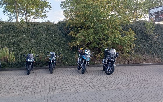 5. Abendausfahrt - Bild 4