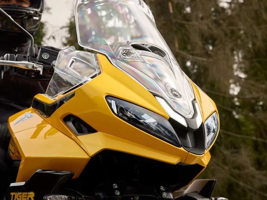 TRIUMPH Gera - Die Neuen sind da! Bild 1: TRIUMPH Gera - Die Neuen sind da!