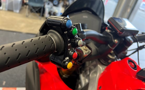 Sommerfestival - Bild 6