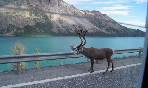 Motorradreise nach Norwegen