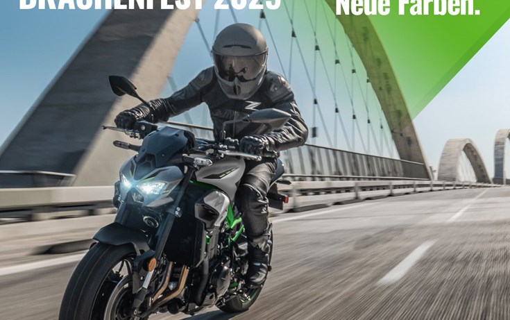 DRACHENFEST TESTRIDES und mehr