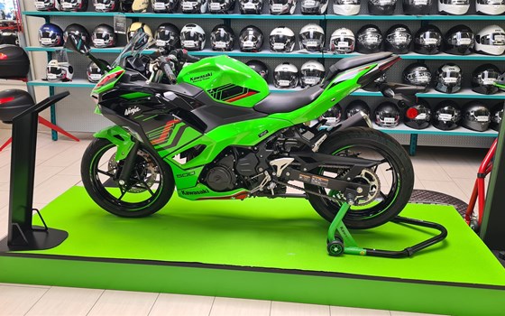 KAWASAKI Drachenfest am Samstag, den 05. April 2025 - Bild 19