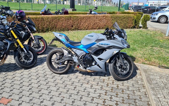 KAWASAKI Drachenfest am Samstag, den 05. April 2025 - Bild 27