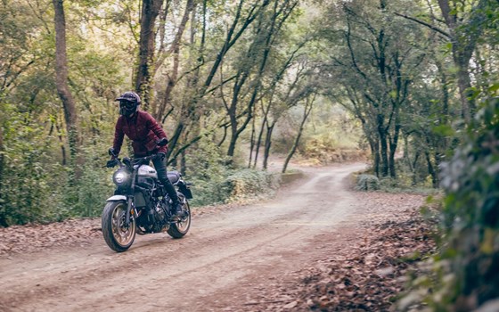 Steigerwald NaTour (Mai) - Bild 1